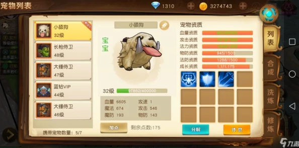 危境圣光传说：顶尖输出类宠物技能揭秘，攻略大全带你制胜，惊喜新宠即将登场！