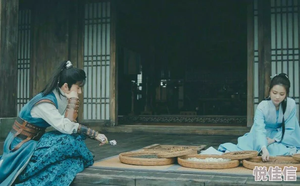 琅琊榜之风起长林听说萧平旌和林奚婚后育有一子一女隐居山林不问世事