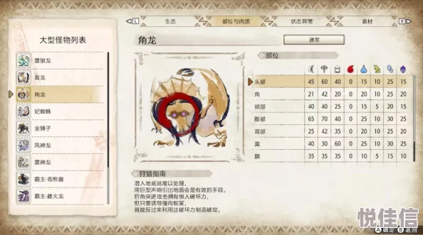 《地下城与王国》前期6猎人进阶攻略大揭秘，惊喜消息：全新职业解锁等你来探索！